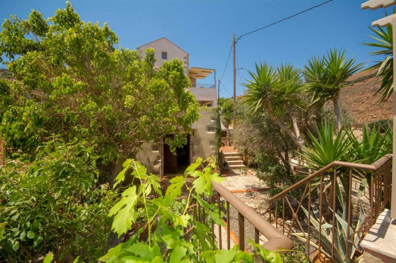 Stamatogiannis Traditional Apartments Καλυβιανή Εξωτερικό φωτογραφία